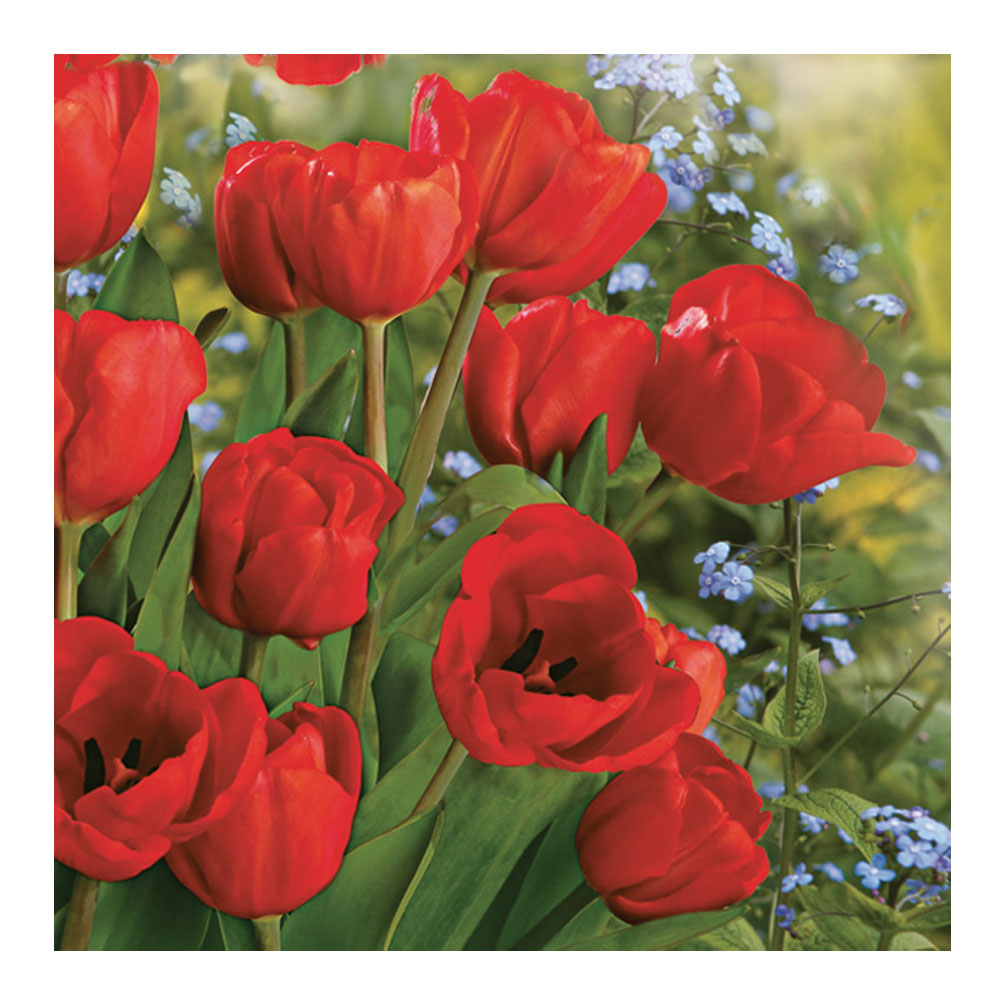 E-shop Servítky Tulipány 20ks, červené