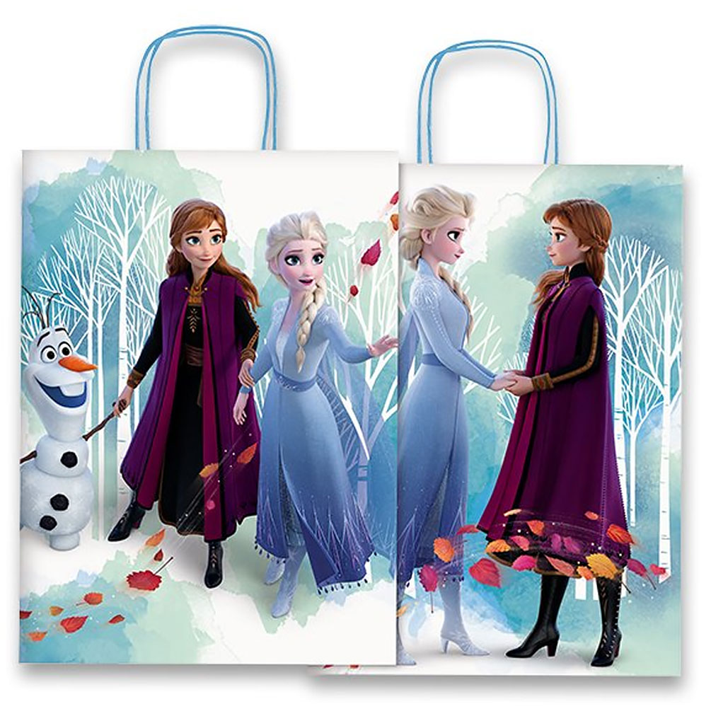 E-shop Darčeková taška 16x8x21cm Frozen