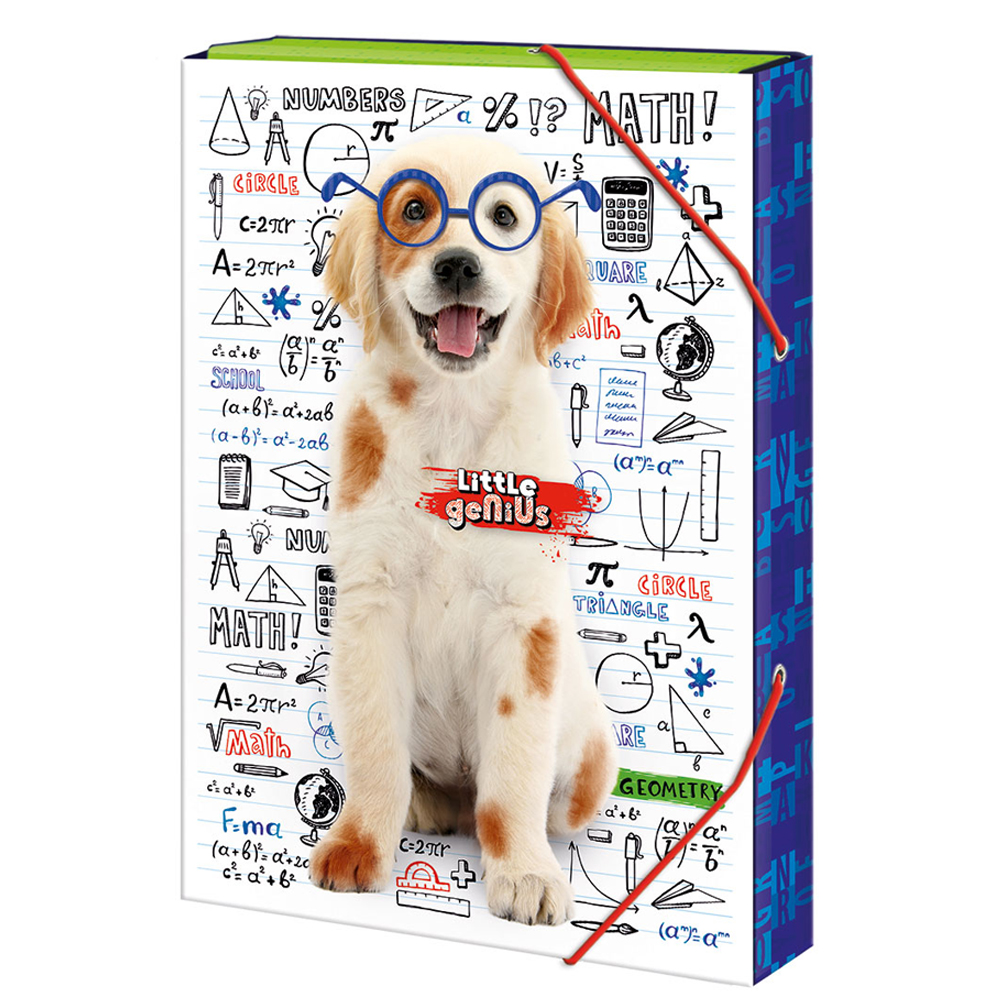 E-shop Školské dosky A4 BOX Šikovný psík